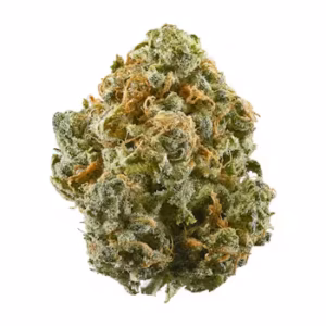 Close-up of a cannabis bud.